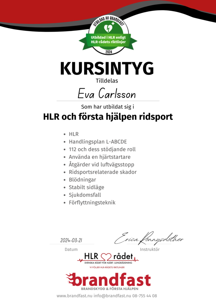 första hjälpen ridsport
