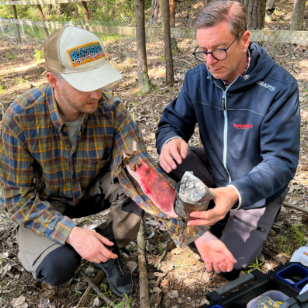 Första hjälpen friluftsliv brännskada