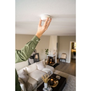 brandvarnare pebble link