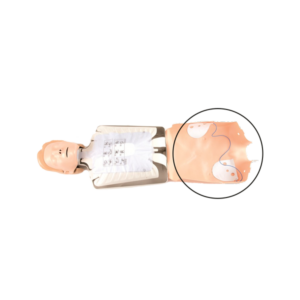 adapter till PHilips HS1 och FRx trainer